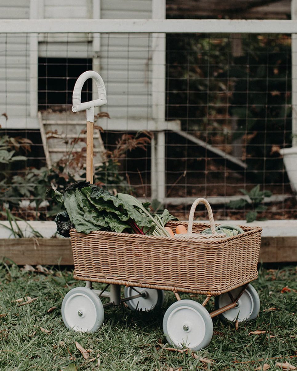 Chariot de Jardin 'Wagon' avec Panier - Botanique Editions