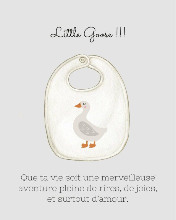 Coffret de naissance - Little Goose - Le Petit Drugstore