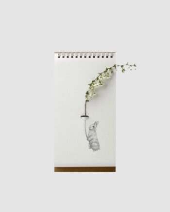 Flip Vase - Compagnon - Soliflore Carnet - Animaux domestiques - Spextrum