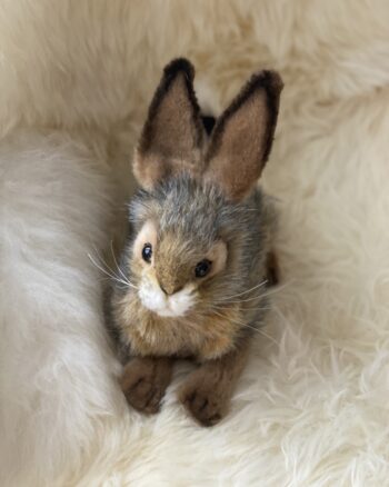 Peluche - Lièvre Couché - Hansa