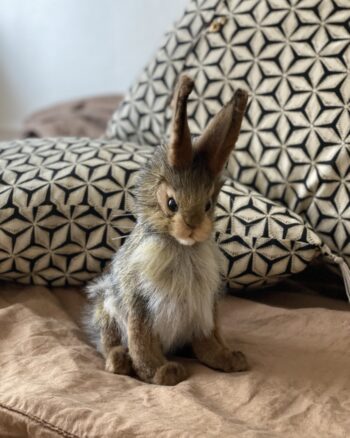 Peluche - Lièvre - Hansa