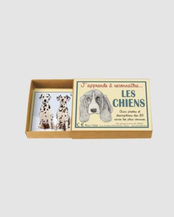 Cartes - J'apprends à reconnaitre les chiens - Marc Vidal