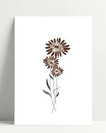 Carte - Bouquet - Poussière des rues