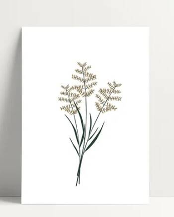 Carte - Printemps - Poussière des rues