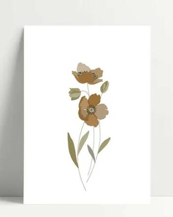 Carte - Coquelicot - Poussière des rues