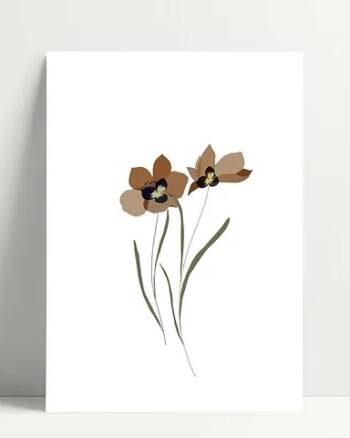 Carte - Daphné - Poussière des rues