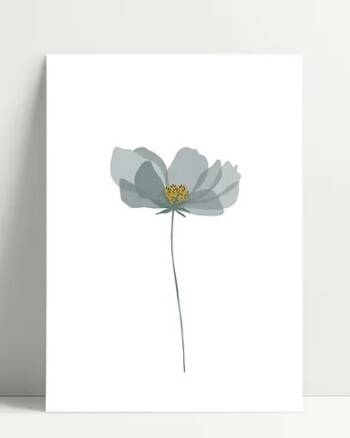 Carte - Anémone - Poussière des rues