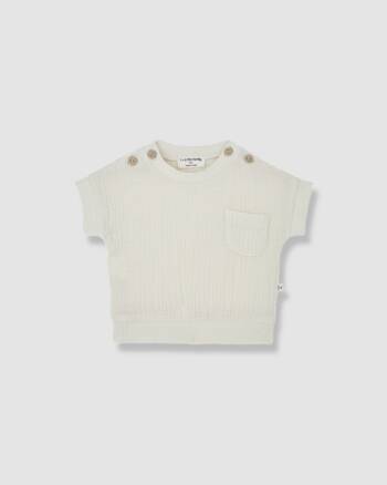 T-shirt Daniele ivoire bébé One More in the Family coton