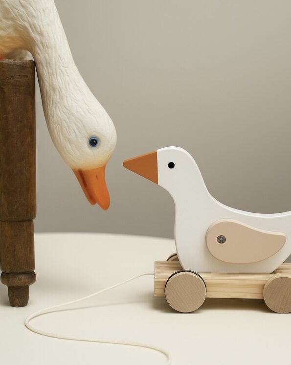 Jeu - Canard à tirer - Egmont Toys – Image 2