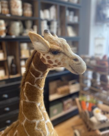 Tête de peluche girafe Hansa en boutique – détail réaliste et ambiance chaleureuse