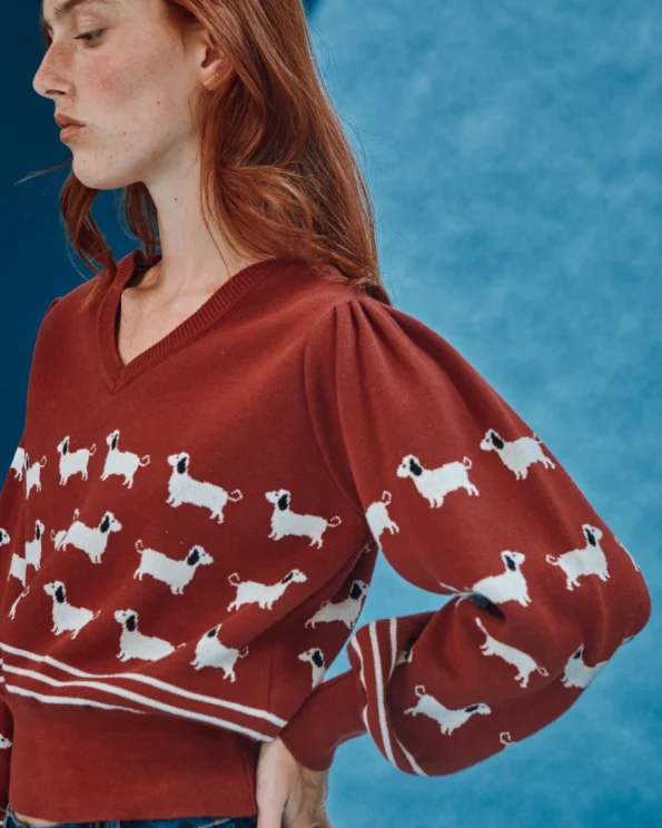 Détail du pull Teckels brique pour femme en coton bio Émile et Ida