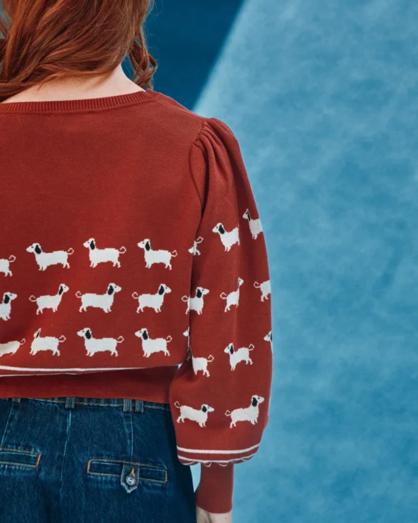 Dos du pull Teckels brique pour femme en coton bio Émile et Ida