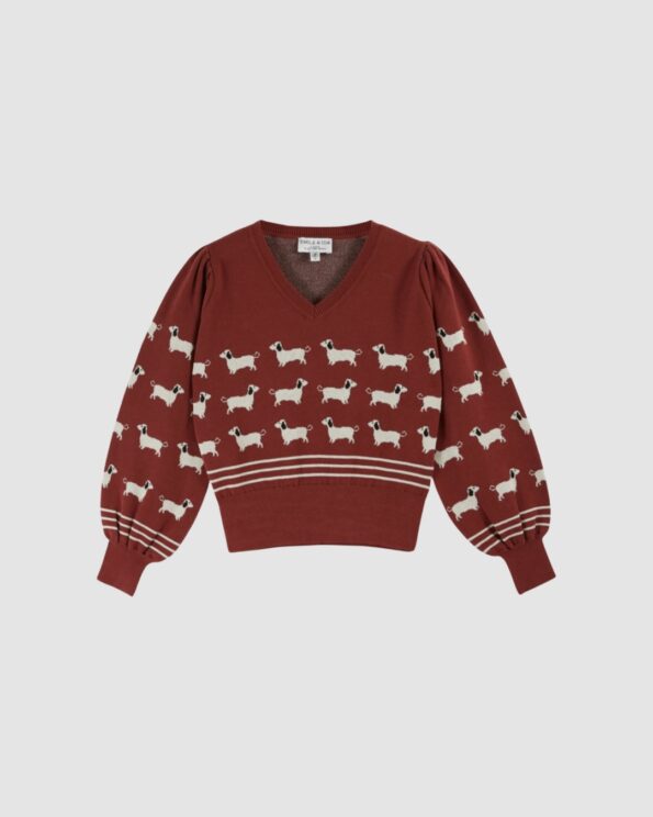 Pull Teckels coton bio brique Émile et Ida vu de face