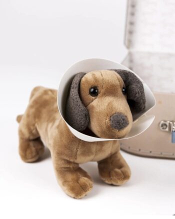 Chien en peluche de la valise vétérinaire Egmont Toys