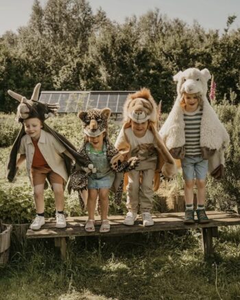 Déguisement lion enfant Wild and Soft porté