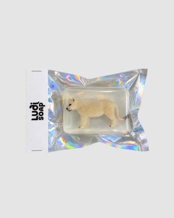 Savon lionceau beige Ludi Soap transparent avec figurine intégrée et emballage holographique.